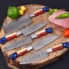 Damoxus Hand Forged Chef Knife Set of 5