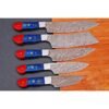 Damoxus damascus steel Chef knife Set