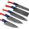 Damoxus Professional 5 Pcs Kitchen Knife Set with Texas Flag Handle